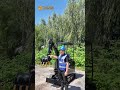 How We Build and Test Mini Excavators | Factory Source Verification