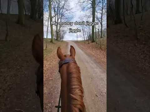 💸💸 #horse #horses