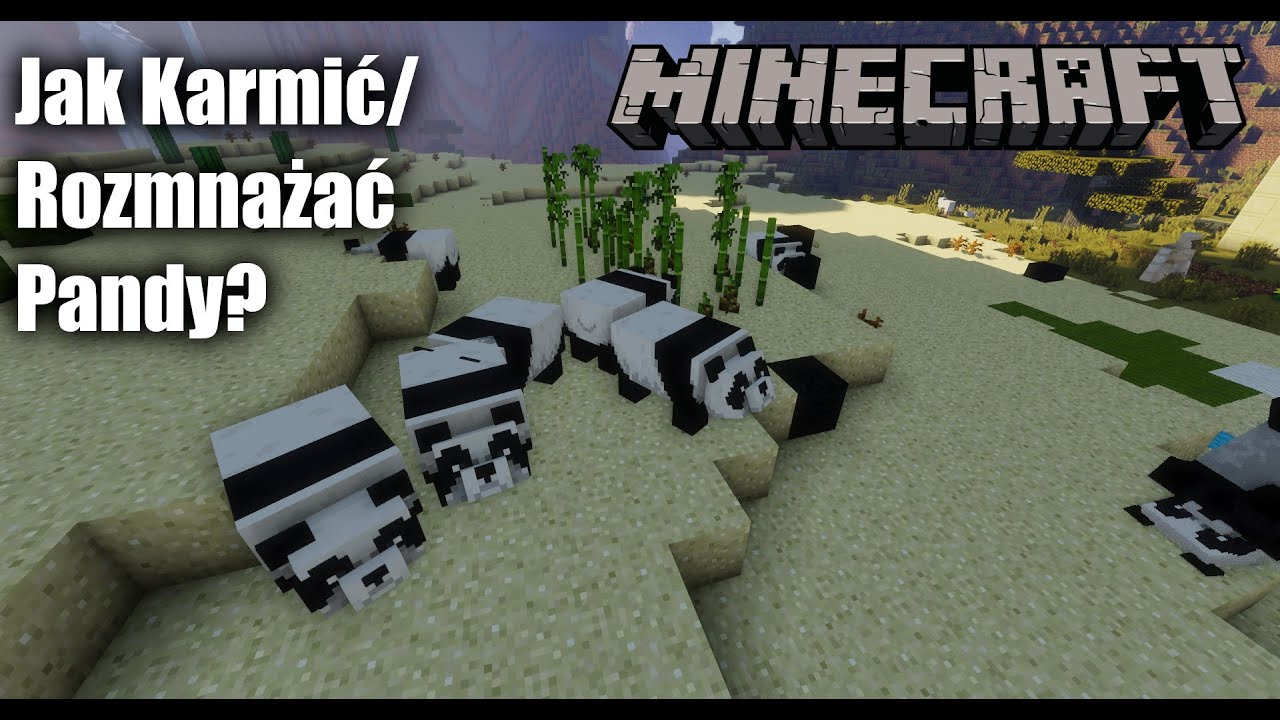 Jak Rozmnożyć Pande W Minecraft