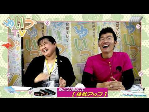 動物占い 最新版 動物占い 最新版