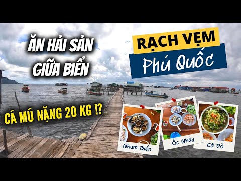 Video Sốc với hải sản tươi sống bắt từ biển ở Rạch Vẹm Phú... - youtube