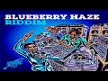 Blueberry Haze Riddim Mix 2026_(FlashBack) Feat, Chris Martin, Mr Vegas, Vershon, Ras Demo &amp; More