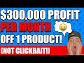 How To Make Money On Amazon FBA $300,000 PROFIT Per Month Selling 1 Product Online Retail Mike Rosko
