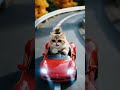 ادعمني باشتراك من فضلك Cat Car قطة تقود سيارة Cuteanimals Cat