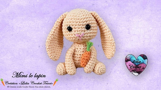 Amigurumi Moutons Choupis Crochet Lidia Crochet Tricot 