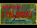 ESTAS TRES PALABRAS Pueden RESOLVER CUALQUIER PROBLEMA En Tu VIDA RÁPIDO ✅ Maria Hartacho ❇ Digeon