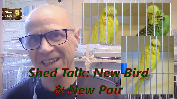 Series 6 Episode 11: New Bird & New Pair!