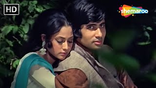 Patta Patta Boota Boota Haal Hamara Jaane Na | Ek Nazar(1972) | Amitabh Bachchan |Jaya Bachchan Hits