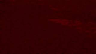 Shadow Of A Black Cat At Night