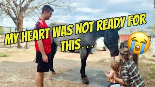 When my rescue horse met my newborn, it was love at first sight 🥹 