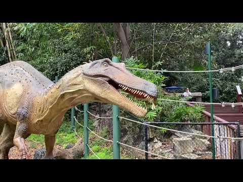 Step back in time at Perth Zoo’s Zoorassic Park! 🦕