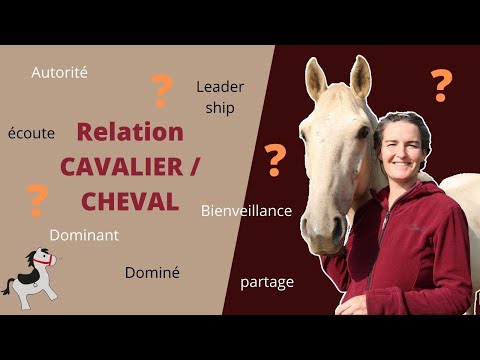 Vidéo: Comment Composer Un Cavalier