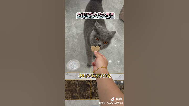 怎樣讓貓相信它生了兔兔 - 天天要聞