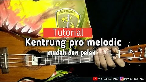 Tutorial kentrung pro melodic senar 4 mudah dan pelan by My Galang