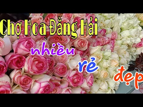 Chợ Hoa Lũng