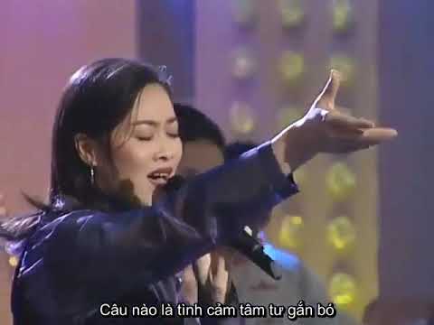 Ngắm hoa trong sương mù - Na Anh ( 那英 - 雾里看花 )