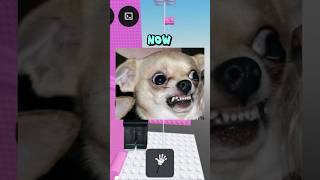 When Your Crush Walks In..