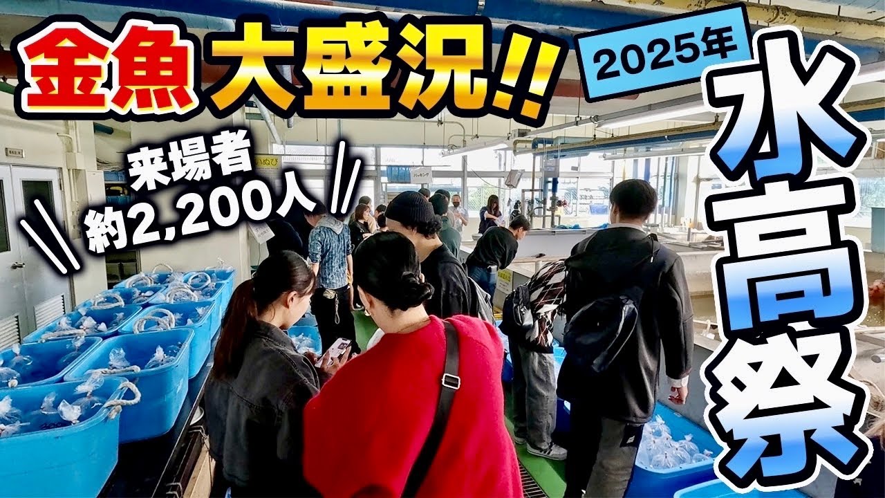 【激安】金魚屋さんレベル！？それ以上のハイクオリティの金魚が購入できる「三谷水産高校」の水高祭‼︎前回より来場者も約500人増え大盛況の模様をご覧ください‼︎