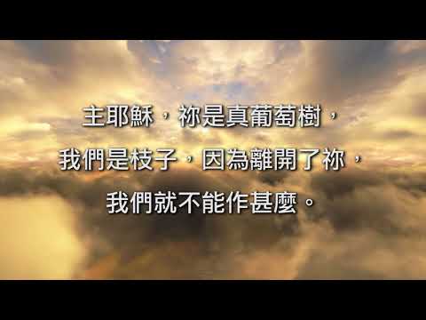 主禱文禱告 繁體字幕/普通話 動畫