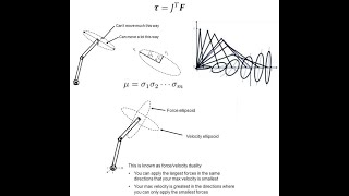 Static Force Analysis, Manipulability