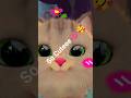 Fluffy kitty 😸💕#cat #foryou #shortsfeed #viralmyshortsvideo #sound #meow #kitten #catsounds