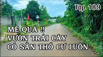 lớn tuổi rồi bác 7 bán vườn trái cây tâm huyết để chia phần cho con cái , đất vườn bà rịa vũng tàu