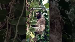 10 MEJORES #LUGARES PARA VISITAR EN #COSTARICA 🇨🇷