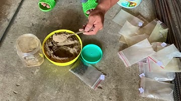 Thuốc Bắc đặc trị trắm đen- trắm trắng và chép cụ ae nhé Zalo 0968113168