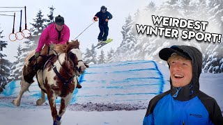 Skijoring: Wildest Sport in the West by David Rule 18,924 views 2 years ago 8 minutes, 13 seconds