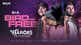 Sia - Bird Set Free - VERSÃO BARÕES DA PISADINHA