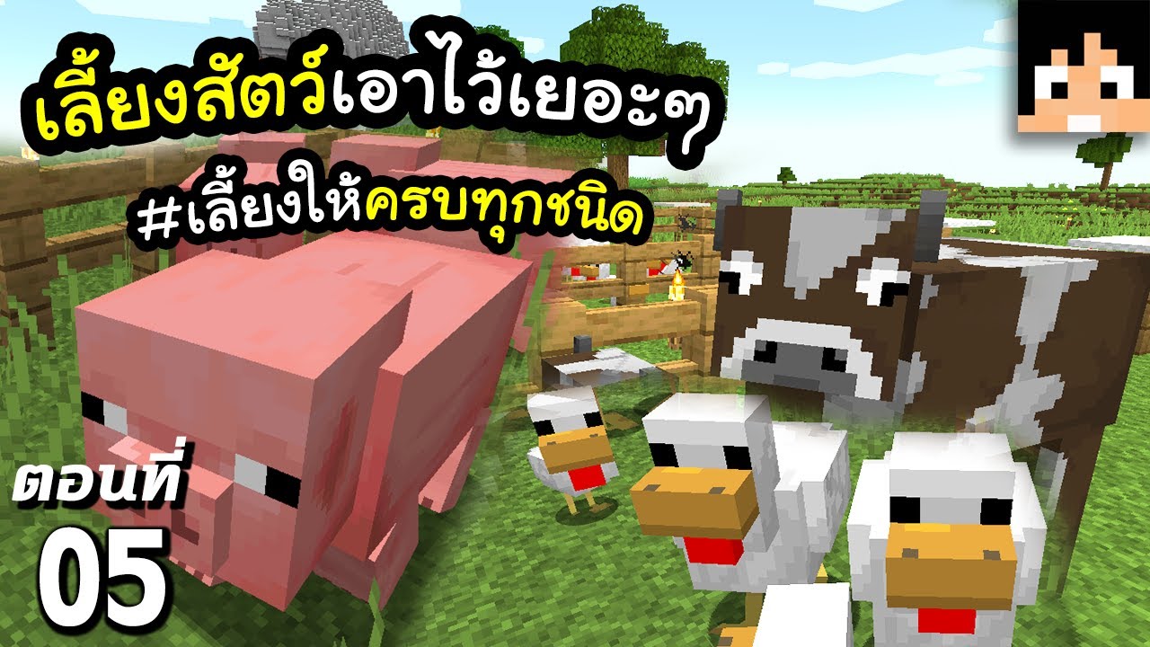 มา ย ครา ฟ 5  Update  มายคราฟ 1.17: เลี้ยงสัตว์เพื่อชีวิตที่ดีขึ้น #5 | Minecraft เอาชีวิตรอดมายคราฟ