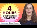 4 Hours of Norwegian Conversation Practice - Improve Speaking Skills