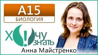 A15 по Биологии Демоверсия ЕГЭ 2013 Видеоурок A15 по Биологии Демоверсия ЕГЭ 2013 Видеоурок
