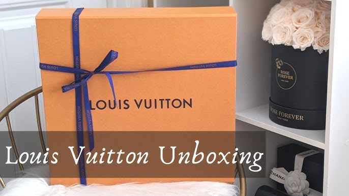 LOUIS VUITTON UNBOXING NEW 2022  AGENDA REFILL FLIP THROUGH / 1st  IMPRESSIONS & THOUGHTS 