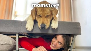 Hiding From My Dog Under My Bed | Hilarious Dog Reaction