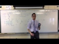 Sine Functions and Their Properties