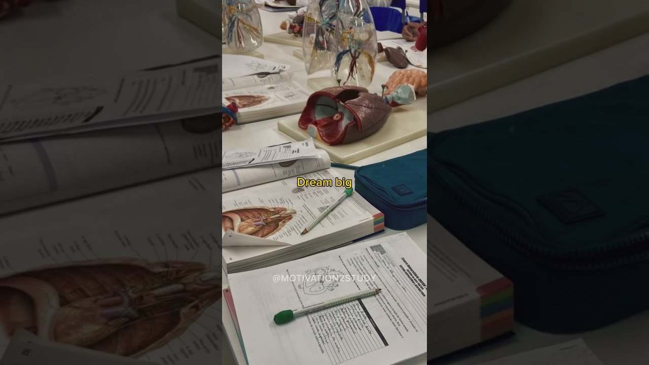 This Is Your Sign To Study Medicine Doctor Studyinspiration