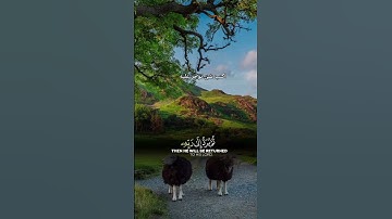 #قرآن كريم #قرآن #راحة_نفسية #تيك_توك #اكسبلور #متابعه
