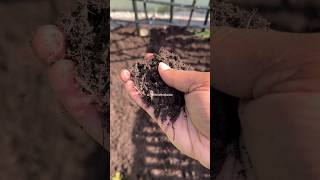 Come with me to get raised bed mix #compost #soil #raisedgardenbeds #gardening #tomato #organic