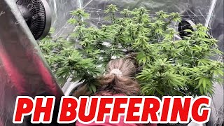 PH Buffering! 🤬, what to do (GOE420)