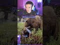 i got straight up ate by a bear | #itsfluxion on #Twitch