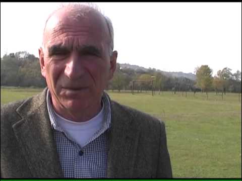 ქვედა საქარაში  სტადიონი მოეწყო