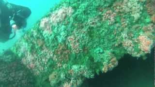San Diego Wrecks The Ruby E