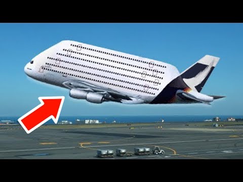 10 Largest Types of Transport in the World