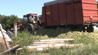 Unloading silage 2012