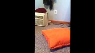 My sister doing the grind on me dance (FAIL)