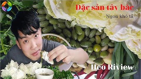 Review Món Chẳm Chéo Nhót Tây Bắc - @Nhịp Sống Tây Bắc / Heo Rừng