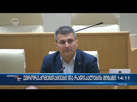 როგორ ასრულებს ქვეყანა ევროპულ რეკომენდაციებს კანდიდატის სტატუსის მისაღებად