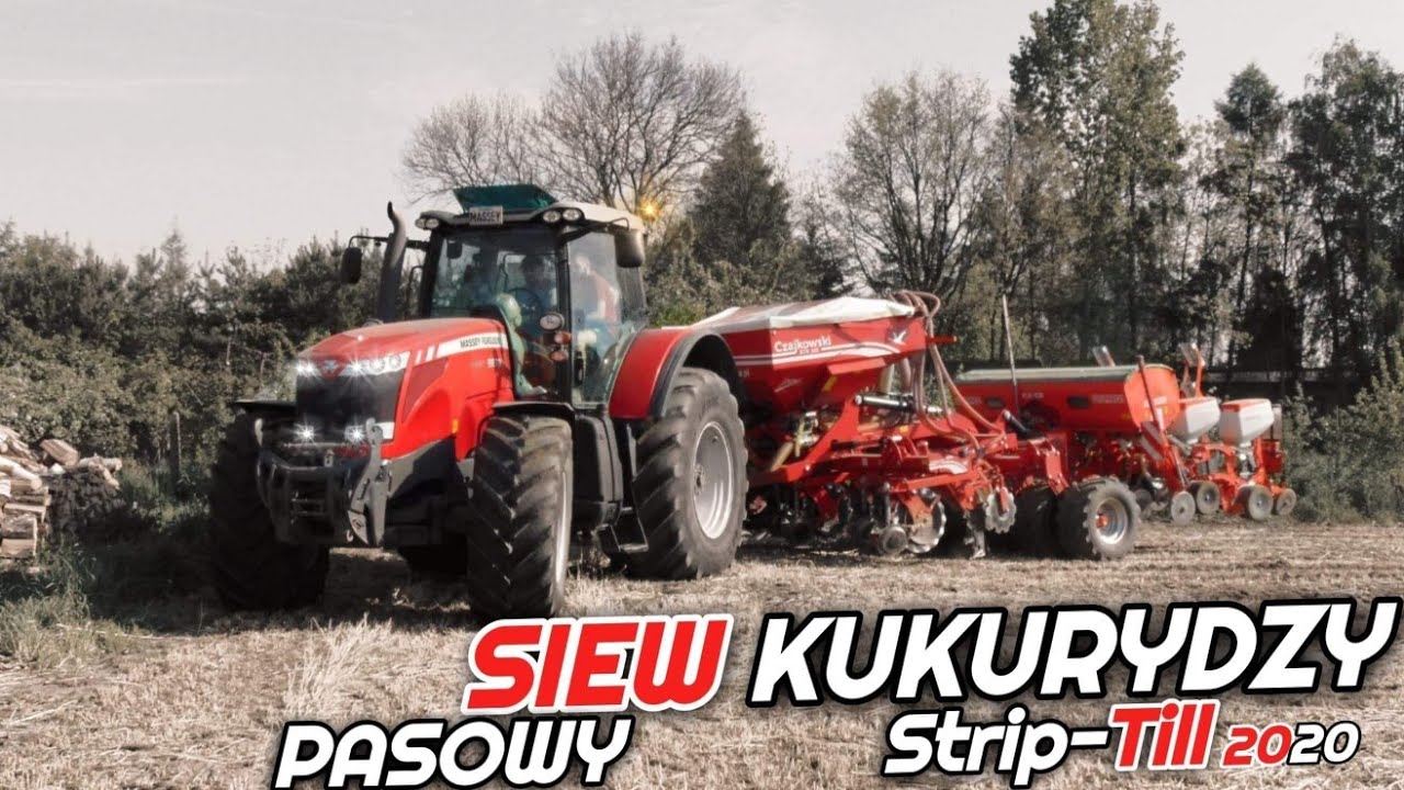 Siew Pasowy Kukurydzy 2020!! Strip till Massey Ferguson & Czajkowski st k300+