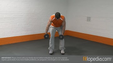 Alternate Bent Over Dumbbell Reverse Fly